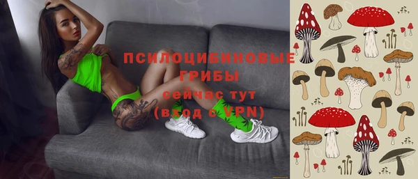 прущая мука Магас