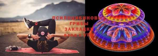 прущие грибы Мегион
