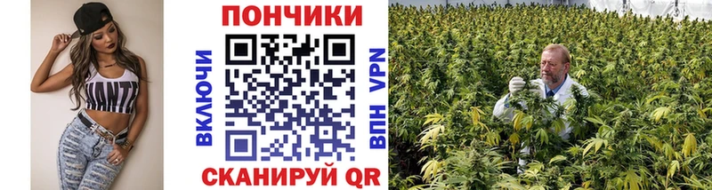 Каннабис планчик  Никольск 